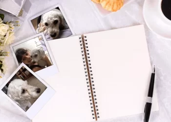 A história, a gratidão e a saudade!