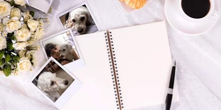 A história, a gratidão e a saudade!